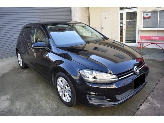 2013 Volkswagen Golf photo 3